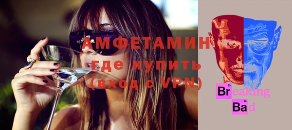 мдпв Новозыбков