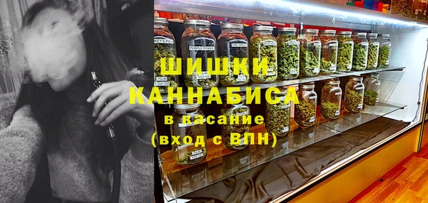 мдпв Новозыбков