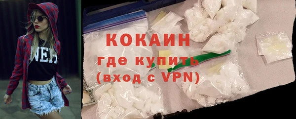 мдпв Новозыбков