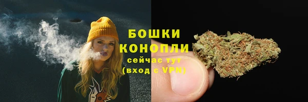 соль ск Новокубанск