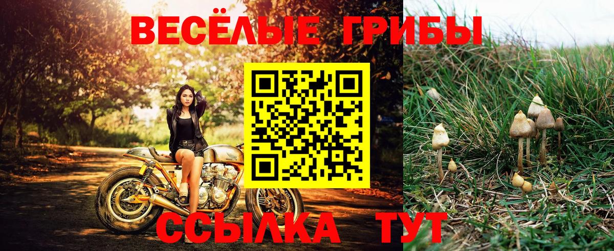 где купить наркотик  Псилоцибиновые грибы прущие грибы  Вход с VPN  Нягань  Псилоцибиновые грибы MAGIC MUSHROOMS 
