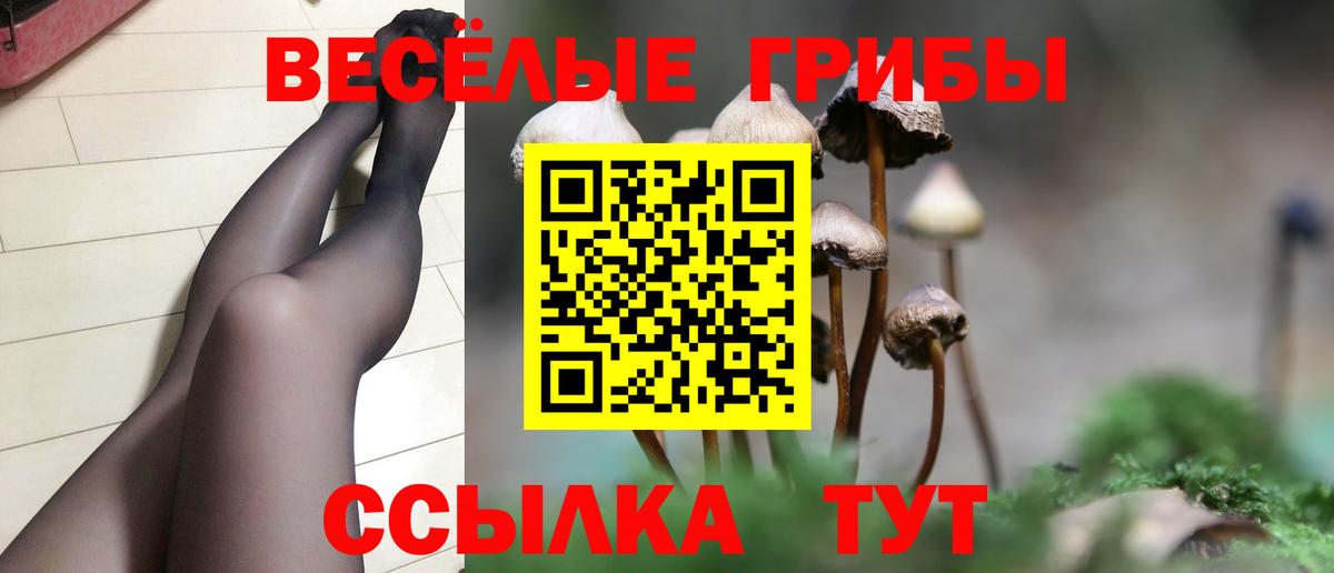 Галлюциногенные грибы GOLDEN TEACHER Нягань